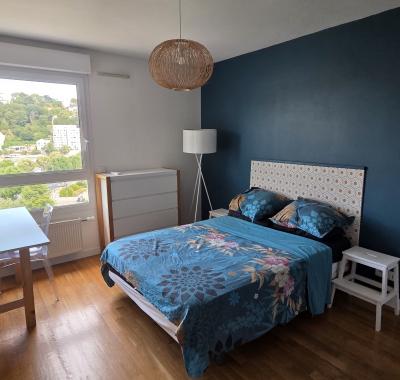 Grande chambre climatisée avec salle d'eau privative – Lyon 9 Vaise
