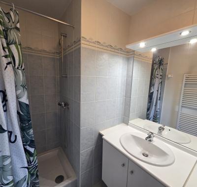 Grande chambre climatisée avec salle d'eau privative – Lyon 9 Vaise