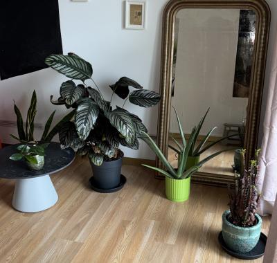 Chambre à louer chez l’habitant