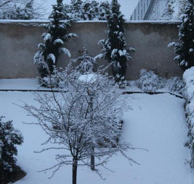 Chambre Lyon Croix Rousse