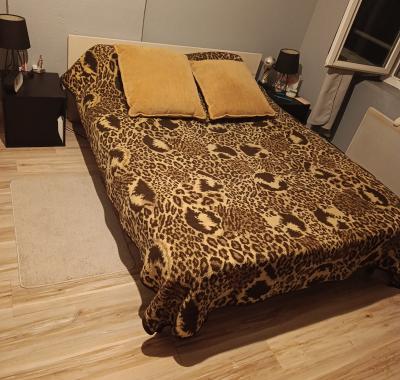 Chambre à louer