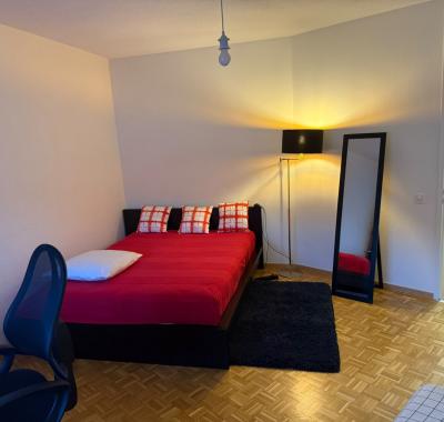 Logement confortable tous prêt tram & Bus 11 Disponible immédiatement.