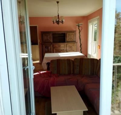 Colocation paisible avec jardin & chien