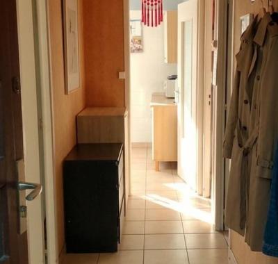 Colocation paisible avec jardin & chien