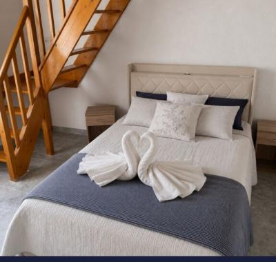 Chambre à louer