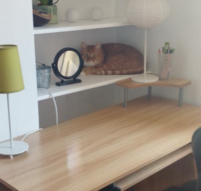 Chambre à louer Le Havre