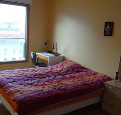 Chambre à louer Lyon 7e