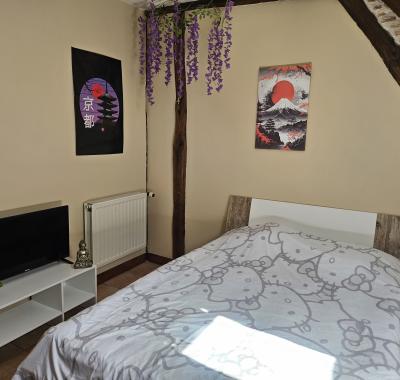 Chambre a louer