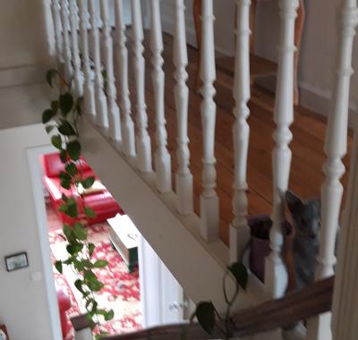Chambre à louer dans maison avec jardin