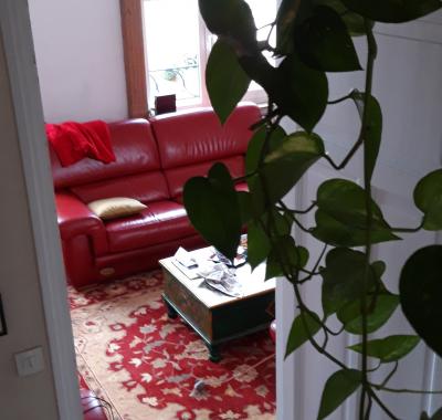 Chambre à louer dans maison avec jardin