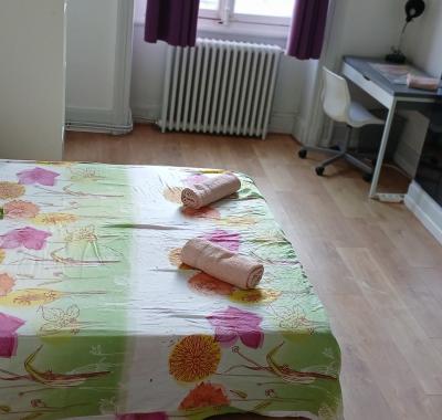 Chambre a louer plein centre ville