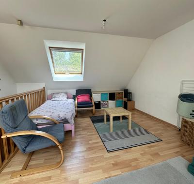 1 Chambre dans une grande maison