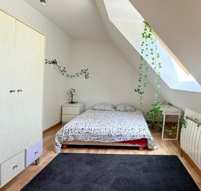 1 Chambre dans une grande maison