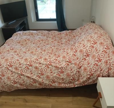 Chambre à louer romans sur isere