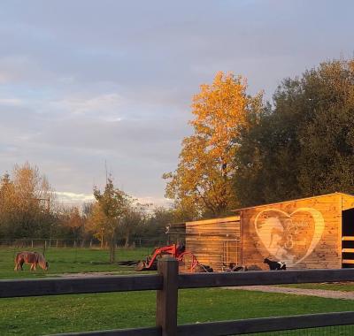 Chambre avec vue sur les prés de nosanimaux