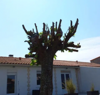 Chambre chez l'habitant en campagne rochelaise