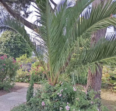 Chambre chez l'habitant à côté de Lorient