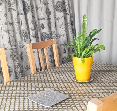 Chambre à louer avec sdb femme