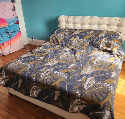 Chambre a louer Lyon
