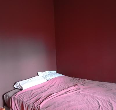 Chambre lumineuse à Rennes, quartier calme