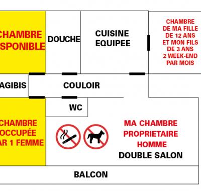 Description de l'annonce