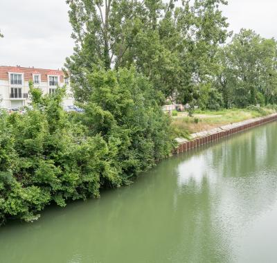 1 chambre disponible dans colocation