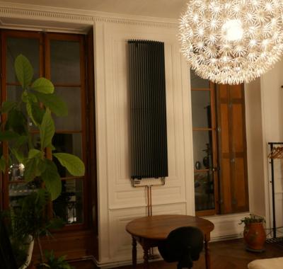 Chambre à louer au cœur de Lyon