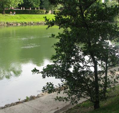 CHAMBRE VUE SUR PARC
