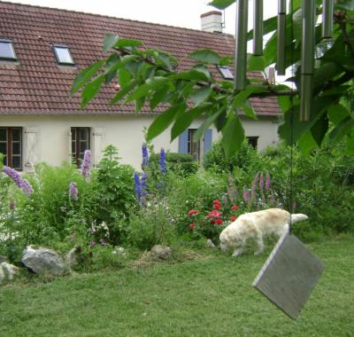 Chambre a louer a cerbois