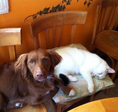 Chambre chez l'habitant Besançon