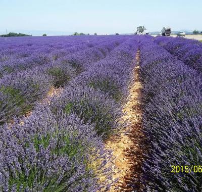 Studio CHEZ L HABITANT EN HTE PROVENCE