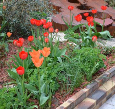 TRES BELLE CHAMBRE DANS JOLIE MAISON