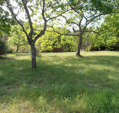 Emplacements pour tentes