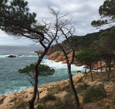 Une chambre sur Costa Brava
