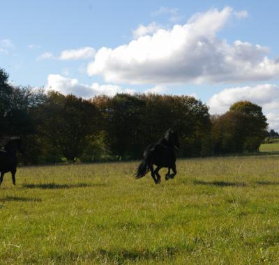 Studio meublé à louer Maubeuge