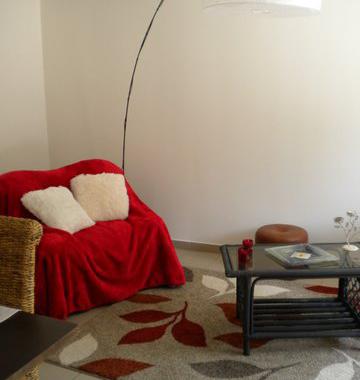 Appartement à louer pour la Braderie de Lille