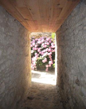 Chambre à louer dans un lieu charmant
