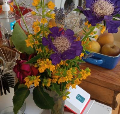 Chambre à louer chez l'habitant
