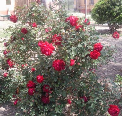 Figueras españa  B&B Masia dans la nature