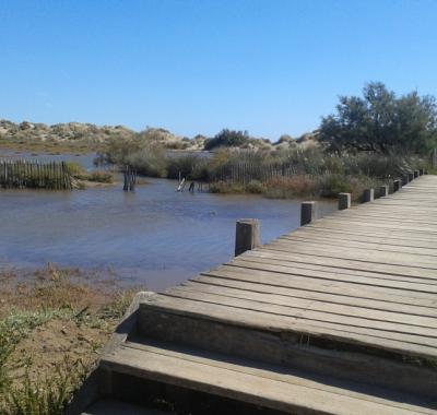 Chambres d hôtes rêver à Béziers quartier historique