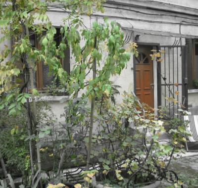 RARE CHAMBRE STUDIO DANS MAISON A PARIS BELLEVILLE