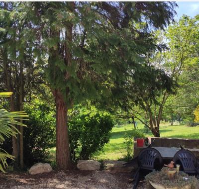 Chambre galet gris, cuisine, SDE, parking, 10km sud ouest de Lyon