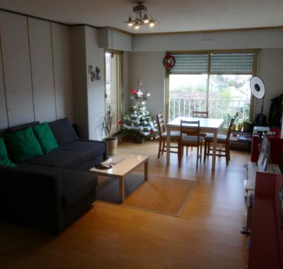 Canapé lit 2 places à louer