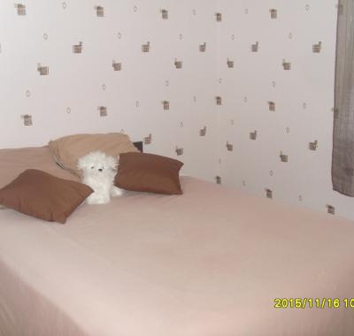 Petite chambre coquette