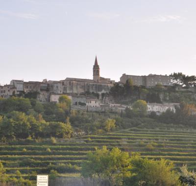 Chambre d'hôtes Les Oliviers