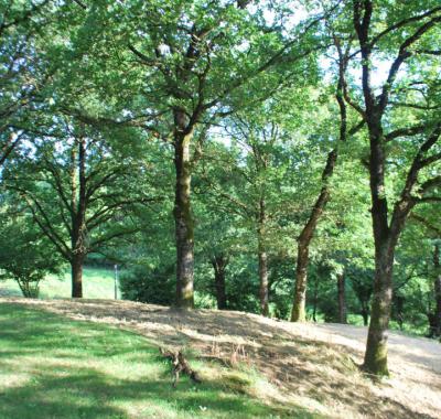 Loue espace camping sur un magnifique coteaux proche Sèvre