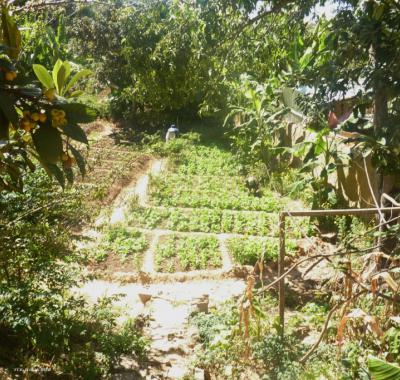 Séjour ensoleillé Madagascar