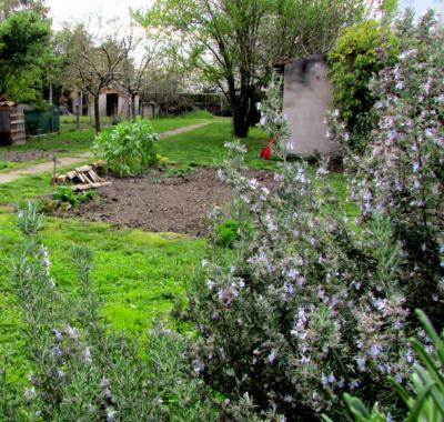 Chambre spacieuse (30m2) donnant sur jardin!