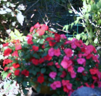 CHAMBRE MEUBLÉE dans maison avec jardinRANGUEIL / PECH DAVID