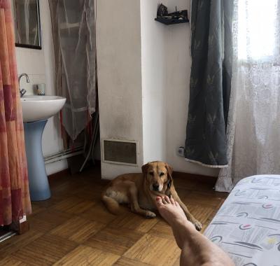 Une chambre non loin de la mer